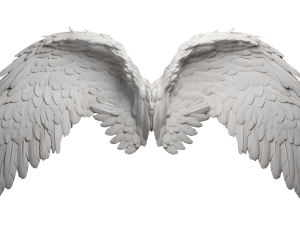 Realistic Angel Wings PNG Image HD