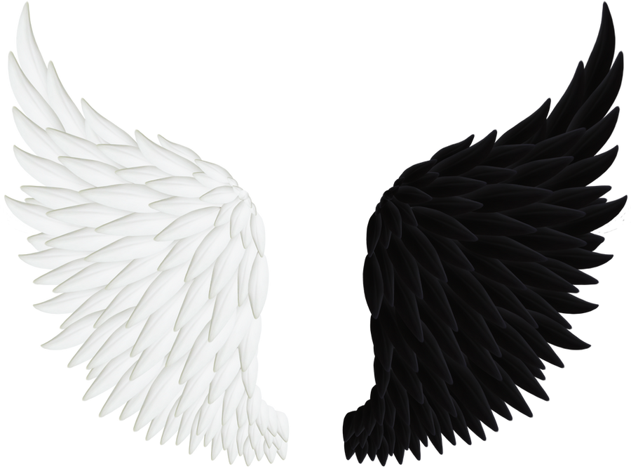 Realistic Angel Wings PNG Image