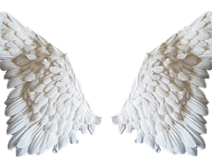 Realistic Angel Wings PNG Images