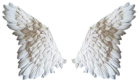 Realistic Angel Wings PNG Images