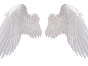 Realistic Angel Wings PNG Photo