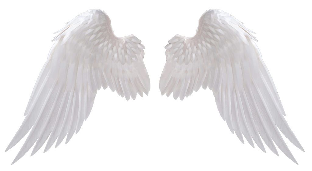 Realistic Angel Wings PNG Photo