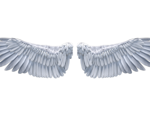 Realistic Angel Wings PNG Photos