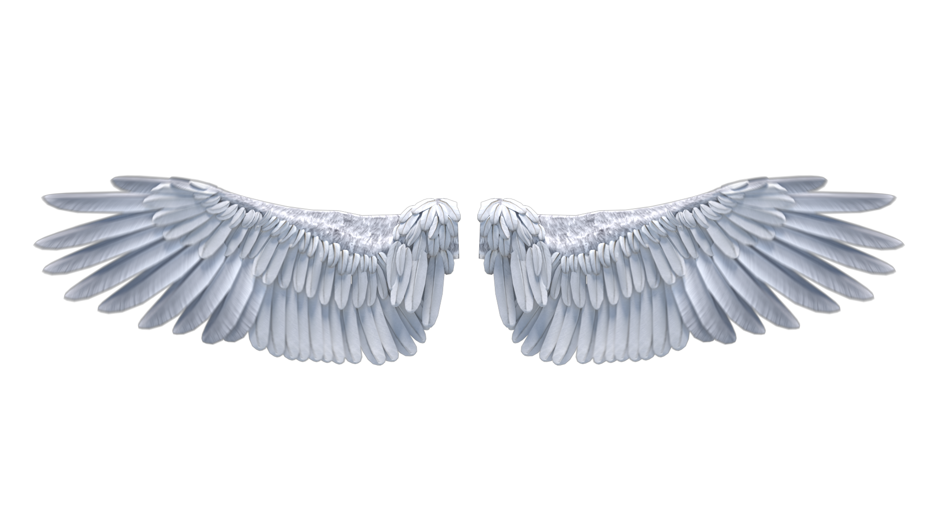 Realistic Angel Wings PNG Photos