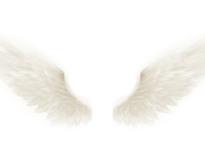 Realistic Angel Wings PNG Picture