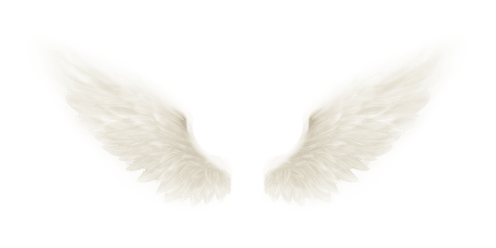 Realistic Angel Wings PNG Picture