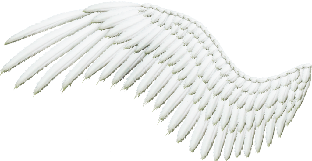 Realistic Angel Wings PNG