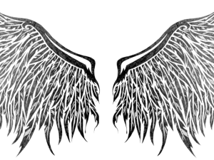 Realistic Angel Wings Transparent