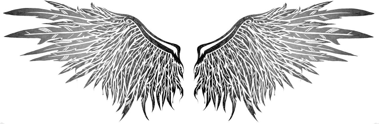 Realistic Angel Wings Transparent