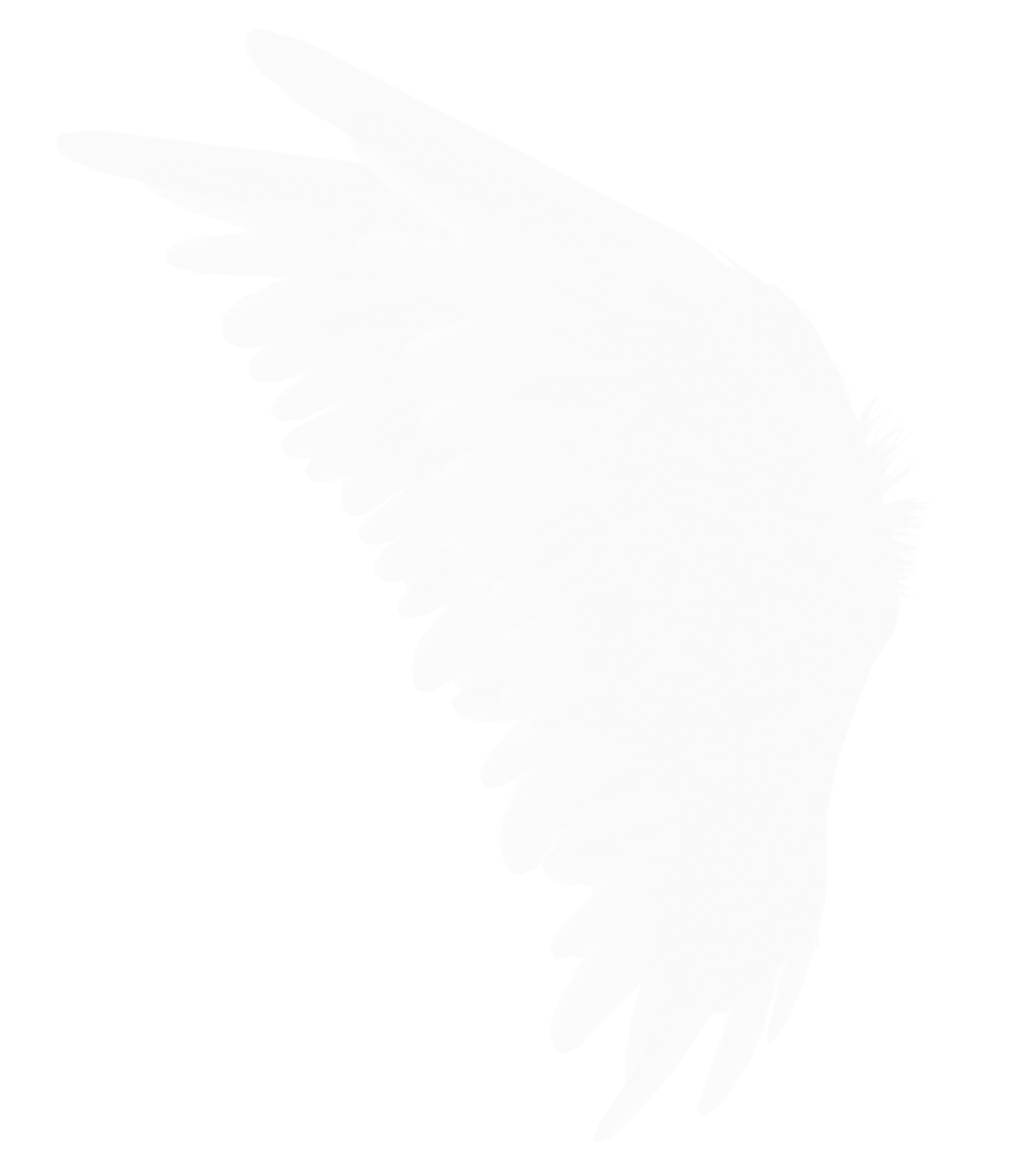 Realistic Angel Wings