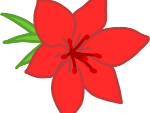 Red Flower