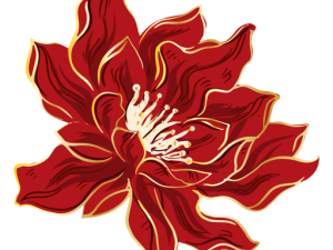 Red Flower PNG