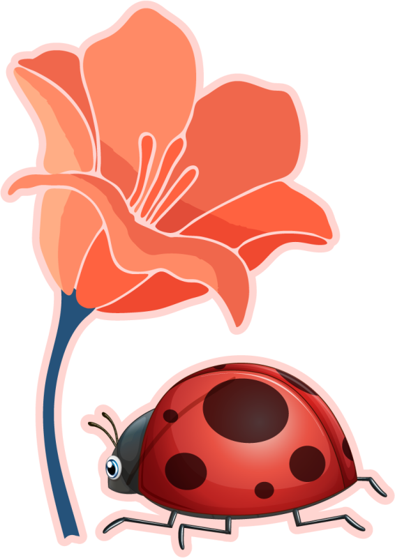 Red Flower PNG Clipart