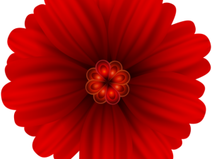 Red Flower PNG File