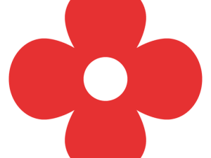 Red Flower PNG Photo