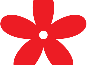 Red Flower PNG Pic