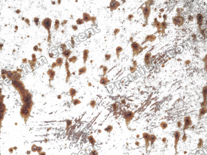 Rust PNG Clipart