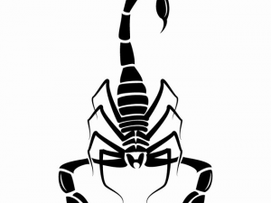 Scorpion PNG HD Image