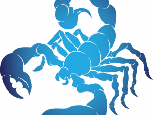 Scorpion PNG Picture