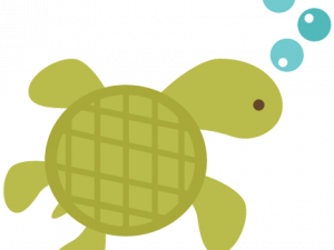 Sea Turtle PNG Images HD