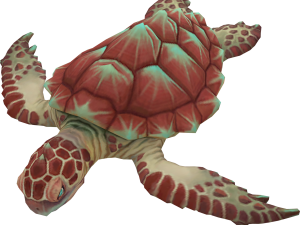 Sea Turtle PNG Photo