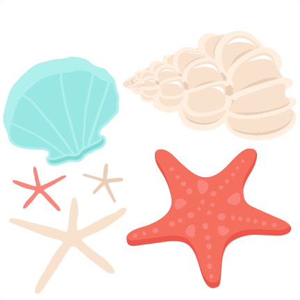 Seashell PNG Background