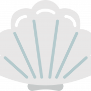 Seashell PNG Images