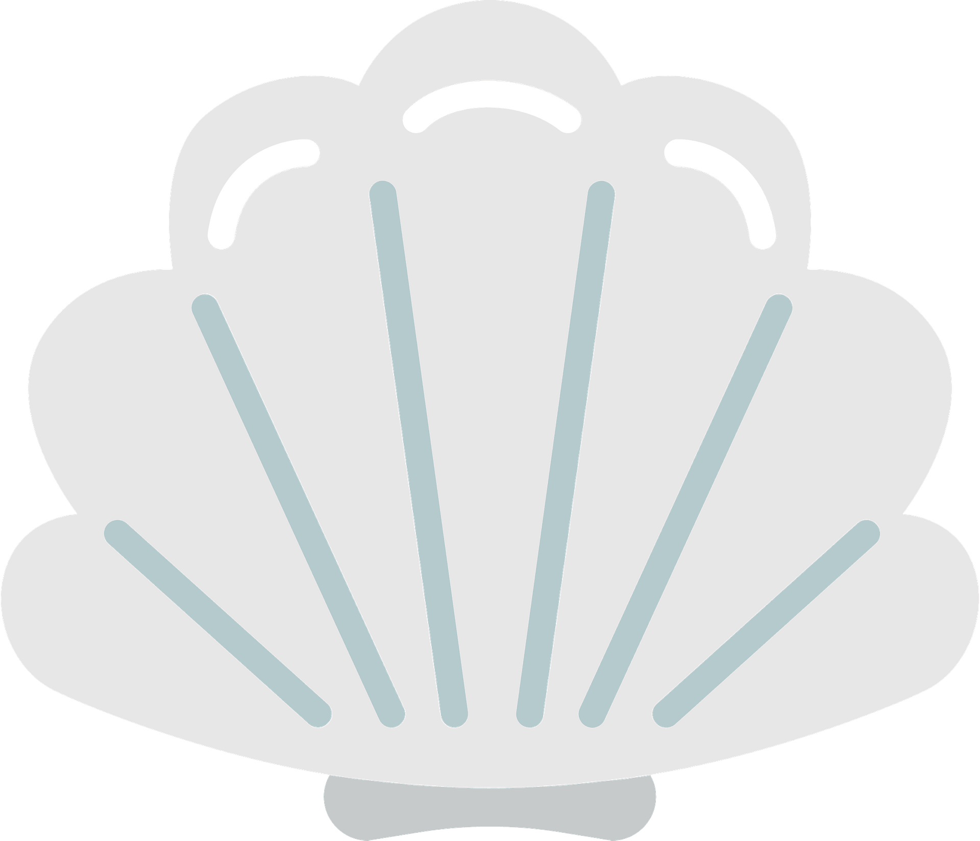 Seashell PNG Images