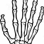 Skeleton Hand No Background