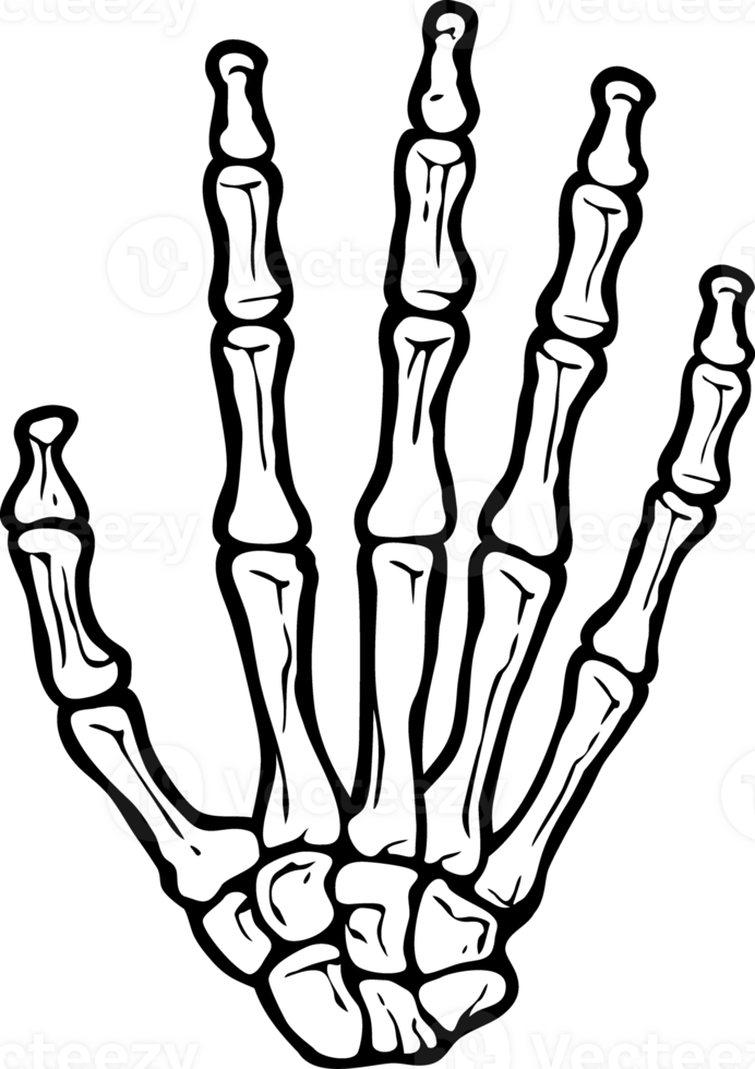 Skeleton Hand No Background