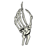 Skeleton Hand PNG Photos