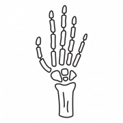 Skeleton Hand PNG Pic