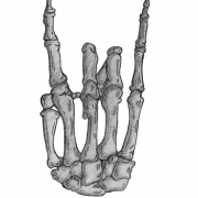 Skeleton Hand PNG Picture