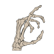 Skeleton Hand Transparent