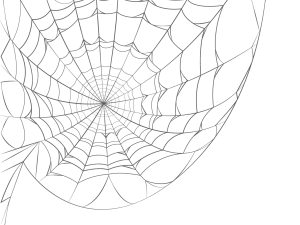 spider web, intricate design png, nature pattern, web structure, Spiderman Web PNG