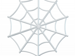 spider web, intricate design, natural structure, arachnid habitat, Spiderman Web PNG