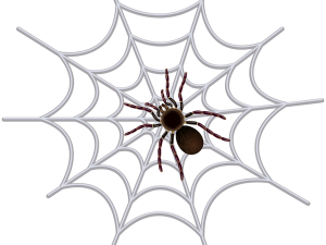 spider, web, arachnid, predator, silk, Spiderman Web PNG