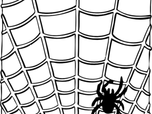 spider web, network design, geometric pattern, black background, Spiderman Web PNG