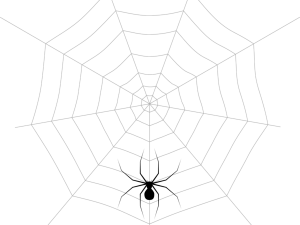 spider web, intricate design, natural pattern, web architecture, Spiderman Web PNG