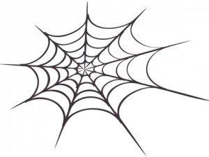 spider web, arachnid silk, web design, Halloween decoration, Spiderman Web PNG