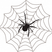 Spiderman Web PNG Pic