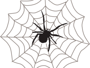 spider web, arachnid design, web illustration, creepy crawlies, Spiderman Web PNG