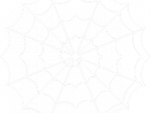 spider web, intricate design, nature pattern, web structure, Spiderman Web PNG