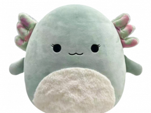 plush axolotl toy, cute stuffed animal, soft squishy plush, aquatic creature plushie, Squishmallow PNG