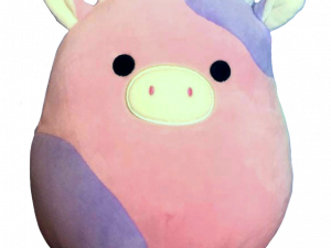 Squishmallow PNG HD Image