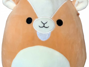 Squishmallow PNG Images