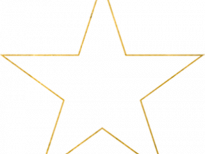 gold star, decorative symbol, achievement emblem, award icon, Star Outline PNG