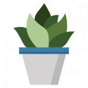 Succulent PNG Background