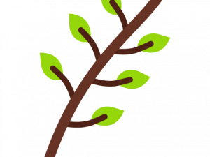 Tree Branch PNG Image