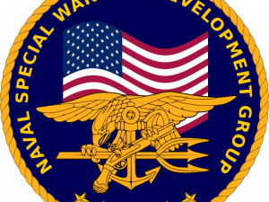 US Navy Logo PNG Cutout